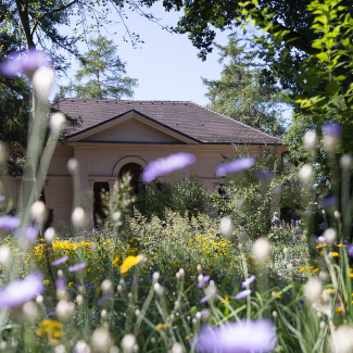 Protestantischer Friedhof